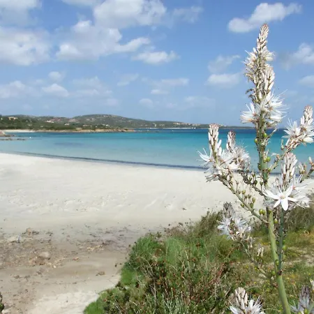 Appartement Vista Playa 1 By Interhome Golfo Aranci